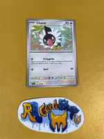 Chatot Common 132/162  Temporal Forces Pokemon