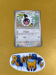 Chatot Common 132/162  Temporal Forces Pokemon