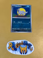 Poochyena Common 105/162 Temporal Forces Pokemon