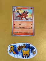 Torracat Common 033/162 Temporal Forces Pokemon