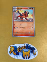 Torracat Common 033/162 Temporal Forces Pokemon