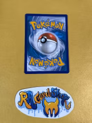 Litten Common 032/162 Temporal Forces Pokemon