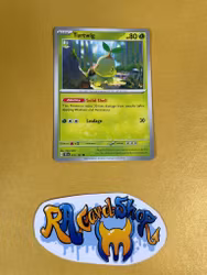 Turtwig Common 010/162 Temporal Forces Pokemon