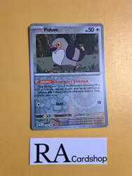 Pidove Reverse Holo Common 133/162 Temporal Forces Pokemon