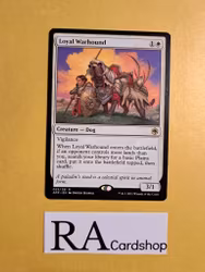Loyal Warhound Rare 023/281 Adventures in the Forgotten Realms (AFR) Magic the Gathering