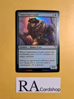 Timberland Guide Common Foil 202/277 Innistrad Midnight Hunt (MID) Magic the Gathering