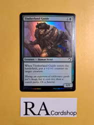 Timberland Guide Common Foil 202/277 Innistrad Midnight Hunt (MID) Magic the Gathering