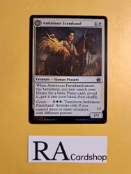Ambitious Farmhand / Seasoned Cathar Uncommon Foil 002/277 Innistrad Midnight Hunt (MID) Magic the Gathering