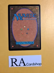 Search the Premises Rare 029/303 Modern Horizons 2 (MH2) Magic the Gathering