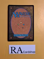 Forest Land Foil 277/287 The Brothers War Magic the Gathering