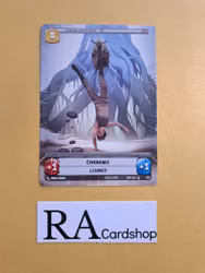 Administrators Tower // Experience Token Common 295 Spark of the Rebellion (SOR) Star Wars Unlimited