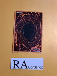 Fairy Tail - Luna RA01-EN009 Ultra Rare 1st Edition 25th Anniversary Rarity Collection Yu-Gi-Oh