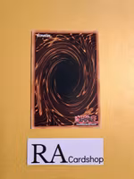 Greatfly Super Rare MP19-EN032 1st Edition Gold Sarcophagus Tin Mega Pack 2019 MP19 Yu-Gi-Oh