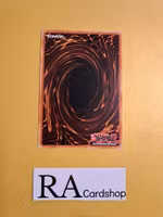 Celestial Observatory Rare MP19-EN122 1st Edition Gold Sarcophagus Tin Mega Pack 2019 MP19 Yu-Gi-Oh