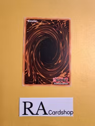 Celestial Observatory Rare MP19-EN122 1st Edition Gold Sarcophagus Tin Mega Pack 2019 MP19 Yu-Gi-Oh