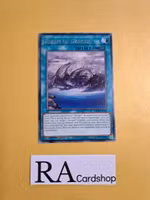 Realm of Danger! Rare MP19-EN140 1st Edition Gold Sarcophagus Tin Mega Pack 2019 MP19 Yu-Gi-Oh