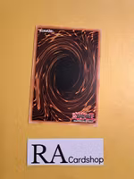 Realm of Danger! Rare MP19-EN140 1st Edition Gold Sarcophagus Tin Mega Pack 2019 MP19 Yu-Gi-Oh