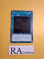 World Legacy Survivor Rare MP19-EN119 1st Edition Gold Sarcophagus Tin Mega Pack 2019 MP19 Yu-Gi-Oh