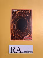 World Legacy Survivor Rare MP19-EN119 1st Edition Gold Sarcophagus Tin Mega Pack 2019 MP19 Yu-Gi-Oh