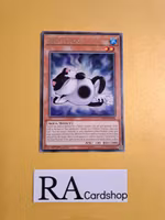 Centerfrog Rare MP19-EN094 1st Edition Gold Sarcophagus Tin Mega Pack 2019 MP19 Yu-Gi-Oh