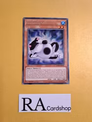 Centerfrog Rare MP19-EN094 1st Edition Gold Sarcophagus Tin Mega Pack 2019 MP19 Yu-Gi-Oh