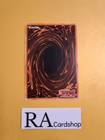 Centerfrog Rare MP19-EN094 1st Edition Gold Sarcophagus Tin Mega Pack 2019 MP19 Yu-Gi-Oh