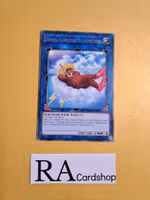 Some Summer Summoner Rare MP19-EN192 1st Edition Gold Sarcophagus Tin Mega Pack 2019 MP19 Yu-Gi-Oh