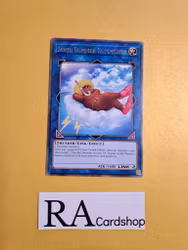 Some Summer Summoner Rare MP19-EN192 1st Edition Gold Sarcophagus Tin Mega Pack 2019 MP19 Yu-Gi-Oh