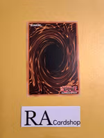 Some Summer Summoner Rare MP19-EN192 1st Edition Gold Sarcophagus Tin Mega Pack 2019 MP19 Yu-Gi-Oh