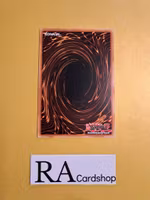 Space Insulator Rare MP19-EN020 1st Edition Gold Sarcophagus Tin Mega Pack 2019 MP19 Yu-Gi-Oh