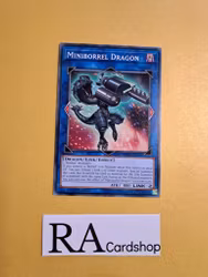 Miniborrel Dragon Common MP19-EN103 1st Edition Gold Sarcophagus Tin Mega Pack 2019 MP19 Yu-Gi-Oh