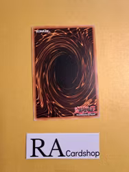 Miniborrel Dragon Common MP19-EN103 1st Edition Gold Sarcophagus Tin Mega Pack 2019 MP19 Yu-Gi-Oh