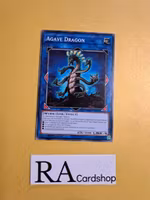 Agave Dragon Common MP19-EN191 1st Edition Gold Sarcophagus Tin Mega Pack 2019 MP19 Yu-Gi-Oh