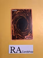 Agave Dragon Common MP19-EN191 1st Edition Gold Sarcophagus Tin Mega Pack 2019 MP19 Yu-Gi-Oh