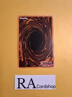 Link Devotee Common MP19-EN099 1st Edition Gold Sarcophagus Tin Mega Pack 2019 MP19 Yu-Gi-Oh