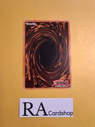 Link Devotee Common MP19-EN099 1st Edition Gold Sarcophagus Tin Mega Pack 2019 MP19 Yu-Gi-Oh