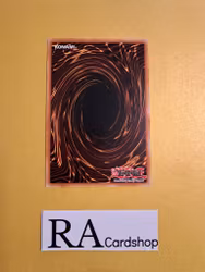 Diplexer Chimera Common MP19-EN184 1st Edition Gold Sarcophagus Tin Mega Pack 2019 MP19 Yu-Gi-Oh