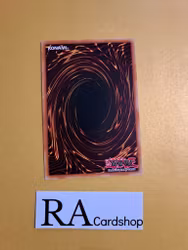 Thunder Dragon Discharge Common MP19-EN208 1st Edition Gold Sarcophagus Tin Mega Pack 2019 MP19 Yu-Gi-Oh