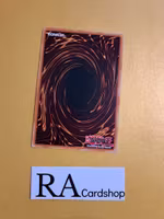 Crusadia Vanguard Common MP19-EN128 1st Edition Gold Sarcophagus Tin Mega Pack 2019 MP19 Yu-Gi-Oh