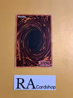 Waking The Dragon Common MP19-EN053 1st Edition Gold Sarcophagus Tin Mega Pack 2019 MP19 Yu-Gi-Oh