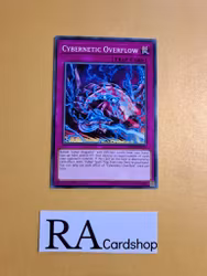 Cybernetic Overflow Common MP19-EN129 1st Edition Gold Sarcophagus Tin Mega Pack 2019 MP19 Yu-Gi-Oh