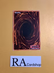 Cybernetic Overflow Common MP19-EN129 1st Edition Gold Sarcophagus Tin Mega Pack 2019 MP19 Yu-Gi-Oh