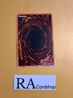 Subsurface Stage Divers Common MP19-EN215 1st Edition Gold Sarcophagus Tin Mega Pack 2019 MP19 Yu-Gi-Oh