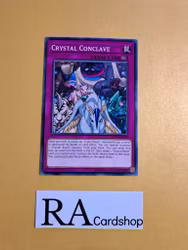 Crystal Conclave Common MP19-EN070 1st Edition Gold Sarcophagus Tin Mega Pack 2019 MP19 Yu-Gi-Oh