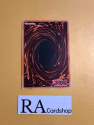 Crystal Conclave Common MP19-EN070 1st Edition Gold Sarcophagus Tin Mega Pack 2019 MP19 Yu-Gi-Oh