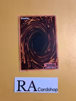 Vampire Awakening Common MP19-EN242 1st Edition Gold Sarcophagus Tin Mega Pack 2019 MP19 Yu-Gi-Oh