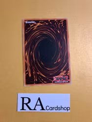 Vampire Awakening Common MP19-EN242 1st Edition Gold Sarcophagus Tin Mega Pack 2019 MP19 Yu-Gi-Oh