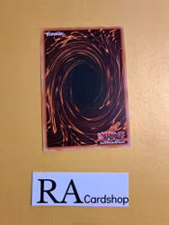 Toll Hike Common MP19-EN212 1st Edition Gold Sarcophagus Tin Mega Pack 2019 MP19 Yu-Gi-Oh