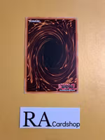 F.A. Winners Common MP19-EN062 1st Edition Gold Sarcophagus Tin Mega Pack 2019 MP19 Yu-Gi-Oh