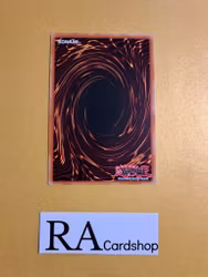 F.A. Winners Common MP19-EN062 1st Edition Gold Sarcophagus Tin Mega Pack 2019 MP19 Yu-Gi-Oh